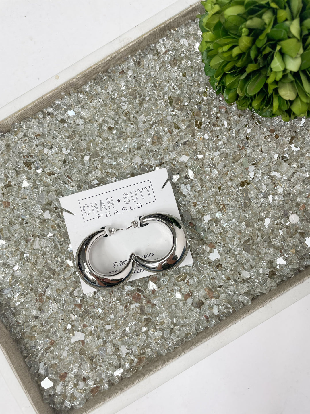 Blake Hoops-Silver