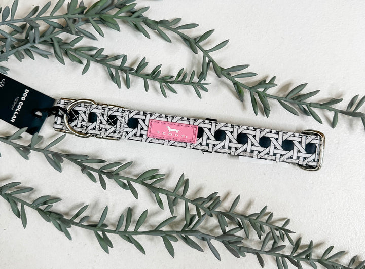 Scout Dog Collar Cane Fonda