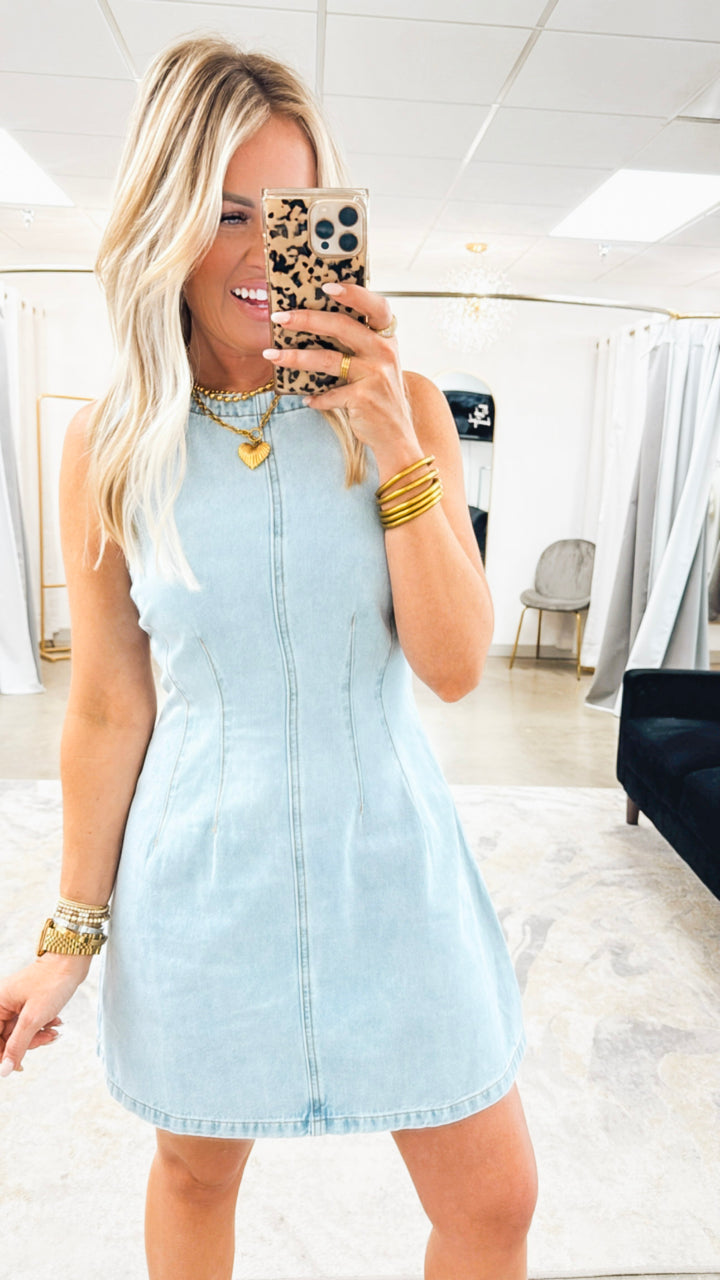 Jovi Denim Mini Dress