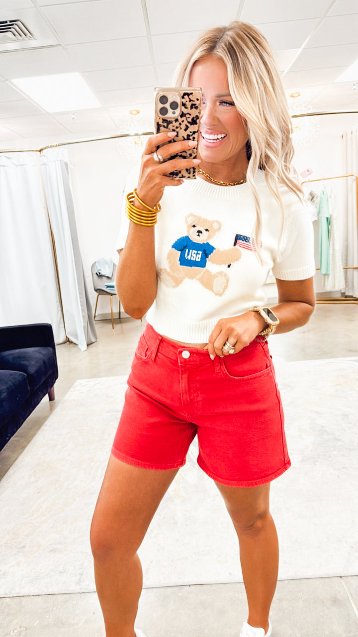Patriotic Teddy Bear Sweater Top