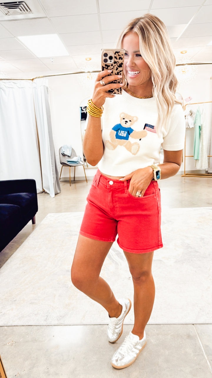 Patriotic Teddy Bear Sweater Top