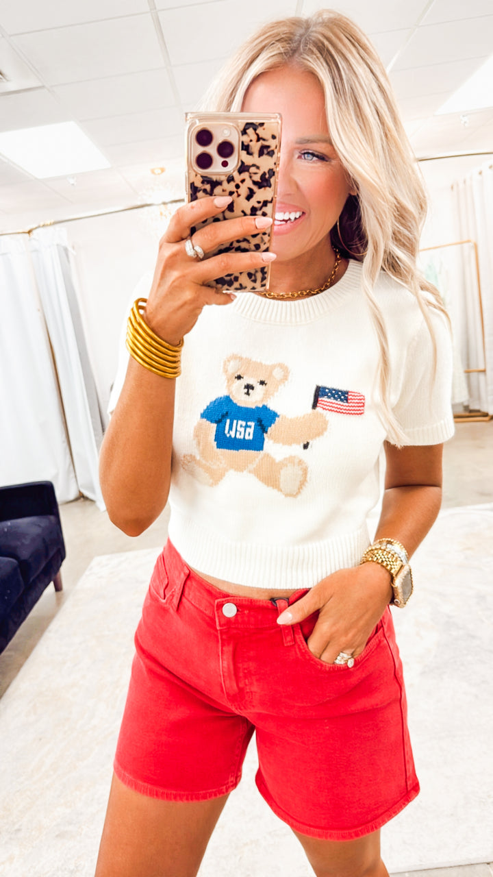 Patriotic Teddy Bear Sweater Top