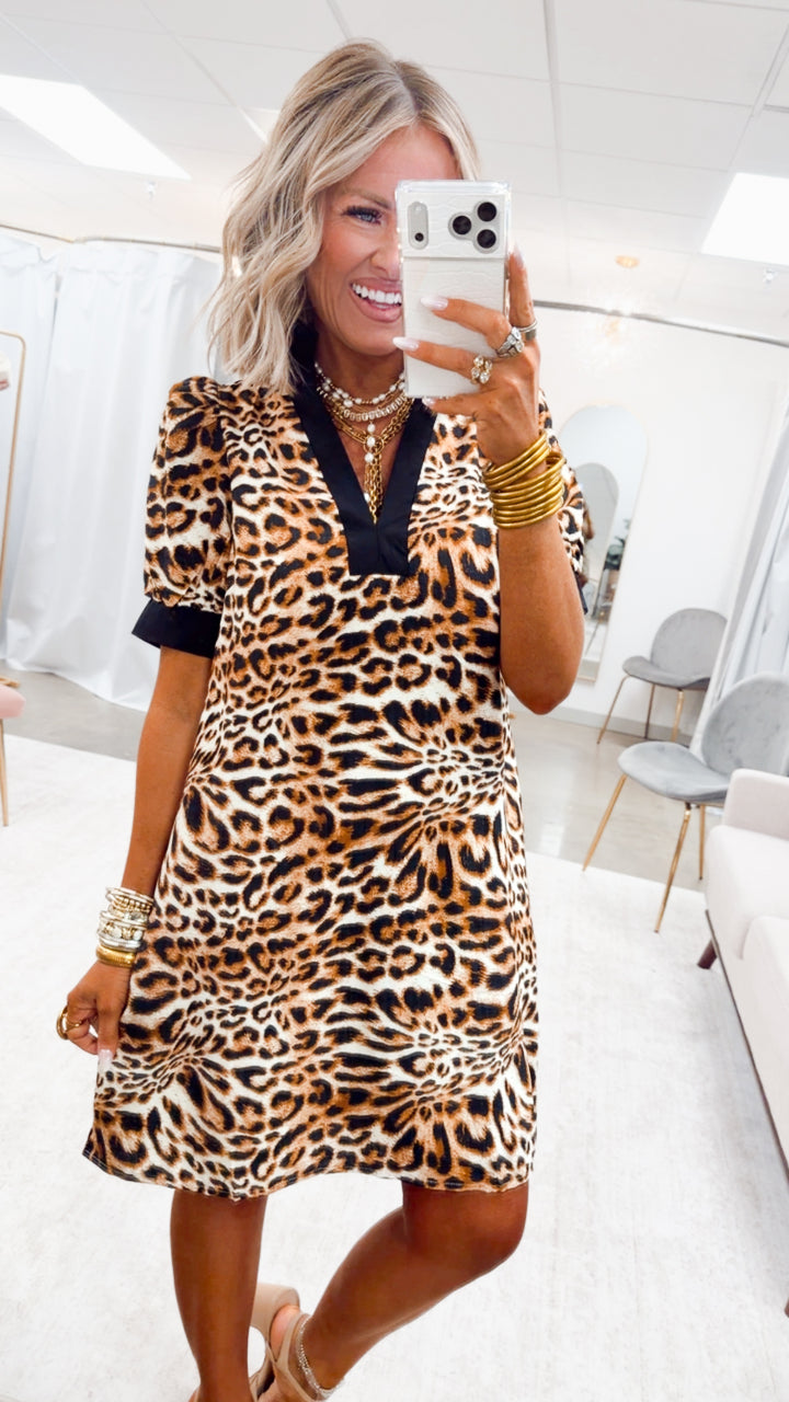 The Parisian Allure Dress