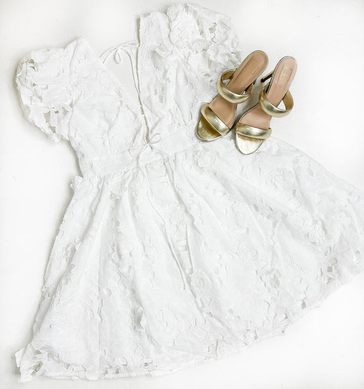 Lace Plunge Neck Dress