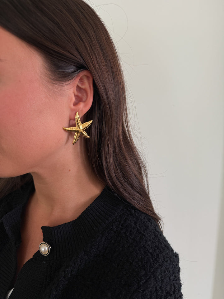 Starfish Earrings